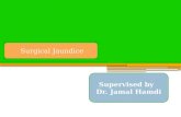 Supervised by Dr. Jamal Hamdi. Definition Of Jaundice yellow pigmentation of skin, mucous membrane or sclera Jaundice clinically detected when serum bilirubin.