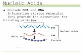 Gene DNA RNA Protein Amino acid Nucleic acids Nucleic Acids ● Include DNA and RNA Information storage molecules They provide the directions for building.