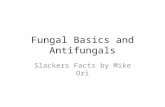 Fungal Basics and Antifungals Slackers Facts by Mike Ori.