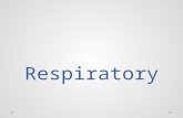 Respiratory. Olfactory A RE: Respiratory epithelium L: Lymphatic tissue A: Bipolar neurons.