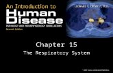 Chapter 15 The Respiratory System. Respiratory/Circulatory A Cooperative Effort Oxygen delivery to the tissues and waste product removal requires a cooperative.