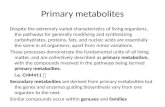 Primary metabolites Despite the extremely varied characteristics of living organisms, the pathways for generally modifying and synthesizing carbohydrates,