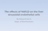 The effects of NAFLD on the liver sinusoidal endothelial cells By Edward Harris Dept. of Biochemistry.