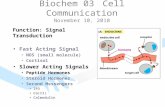 Biochem 03 Cell Communication November 10, 2010 Function: Signal Transduction Fast Acting Signal NOS (small molecule) Cortisol Slower Acting Signals Peptide.