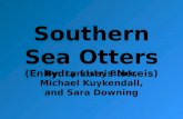 Southern Sea Otters (Enhydra Lutris Nereis) By: Lyndsey Burk, Michael Kuykendall, and Sara Downing.