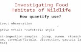 Investigating Food Habitats of Wildlife How quantify use? 1. Direct observation 2. Captive trials “cafeteria style” 3. Post-ingestion samples (crop, rumen,