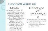 Flashcard Warm-up Genotype vs. Phenotype Genotype is the genetic makeup (AA, Aa, or aa) Phenotype is the physical trait, a result of the genotype Allele.