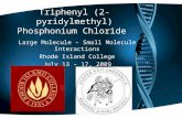 Triphenyl (2-pyridylmethyl) Phosphonium Chloride Large Molecule – Small Molecule Interactions Rhode Island College July 13 – 17, 2009.