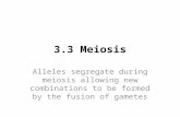 3.3 Meiosis Alleles segregate during meiosis allowing new combinations to be formed by the fusion of gametes.