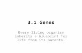 3.1 Genes Every living organism inherits a blueprint for life from its parents.
