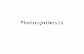 Photosynthesis. What do you know so far? Fill in the gaps on p1 of the booklet Write the equation for photosynthesis Complete the gaps in the next section.