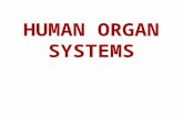 HUMAN ORGAN SYSTEMS. Integumentary Skeletal Muscular Nervous Endocrine Cardiovascular Lymphatic Respiratory Digestive Urinary Reproductive Organ Level.