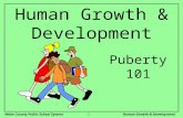 Wake County Public School SystemHuman Growth & Development1 Puberty 101.