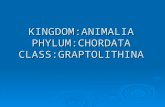 KINGDOM:ANIMALIA PHYLUM:CHORDATA CLASS:GRAPTOLITHINA.
