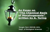An Essay on “The Chemical Basis of Morphogenesis” written by A. Turing Yongjin Park (99328-162), Dept. of Biological Sciences.