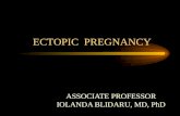 ECTOPIC PREGNANCY ECTOPIC PREGNANCY ASSOCIATE PROFESSOR IOLANDA BLIDARU, MD, PhD