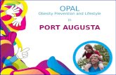 OPAL Obesity Prevention and Lifestyle in PORT AUGUSTA.