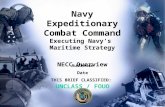 NECC Adaptive, Responsive, Expeditionary Audience Date THIS BRIEF CLASSIFIED: UNCLASS / FOUO Navy Expeditionary Combat Command Executing Navy’s Maritime.
