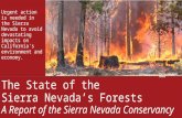 Urgent action is needed in the Sierra Nevada to avoid devastating impacts on California's environment and economy. The State of the Sierra Nevada’s Forests.