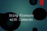 Using Pronouns with Commands. Pronoun  A pronoun is a word that takes the place of a noun.  I, me, he, she, herself, you, it, that, they, each, few,