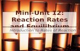 Mini-Unit 12: Reaction Rates and Equilibrium Introduction to Rates of Reaction.