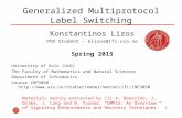 1 Generalized Multiprotocol Label Switching Konstantinos Lizos PhD Student – klizos@ifi.uio.no Spring 2015 University of Oslo (UiO) The Faculty of Mathematics.