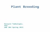 Plant Breeding Huseyin Tombuloglu, Phd. GBE 304 Spring 2015.