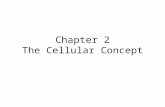 Chapter 2 The Cellular Concept. 2.1 Introduction to Cellular Systems Solves the problem of spectral congestion and user capacity. Offer very high capacity.