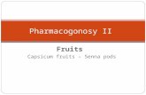 Fruits Capsicum fruits – Senna pods Pharmacogonosy II.