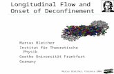 Marcus Bleicher, Florence 2006 Longitudinal Flow and Onset of Deconfinement Marcus Bleicher Institut für Theoretische Physik Goethe Universität Frankfurt.