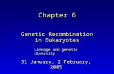 31 January, 2 February, 2005 Chapter 6 Genetic Recombination in Eukaryotes Linkage and genetic diversity.