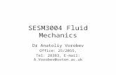 SESM3004 Fluid Mechanics Dr Anatoliy Vorobev Office: 25/2055, Tel: 28383, E-mail: A.Vorobev@soton.ac.uk.