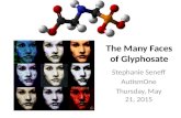 The Many Faces of Glyphosate Stephanie Seneff AutismOne Thursday, May 21, 2015.