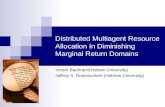 Distributed Multiagent Resource Allocation In Diminishing Marginal Return Domains Yoram Bachrach(Hebew University) Jeffrey S. Rosenschein (Hebrew University)