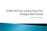 Morris LeBlanc.  Why Image Retrieval is Hard?  Problems with Image Retrieval  Support Vector Machines  Active Learning  Image Processing ◦ Texture.