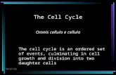 6/10/2015 The Cell Cycle Omnis cellula e cellula The cell cycle is an ordered set of events, culminating in cell growth and division into two daughter.