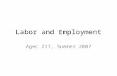 Labor and Employment Agec 217, Summer 2007. Labor and Employment Two sides of Labor and Employment Labor is one of the resources used in production, making.