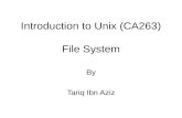 Introduction to Unix (CA263) File System By Tariq Ibn Aziz.