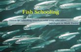 Fish Schooling “Never let schooling interfere with your education….” (apologies to Mark Twain)