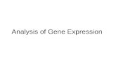Analysis of Gene Expression. Overview Genome analysis tells us what genes are present, but before we can determine the organism’s phenotype, we need to.