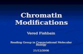 Chromatin Modifications Vered Fishbain Reading Group in Computational Molecular Biology 21/12/2006.