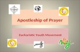 Apostleship of Prayer Eucharistic Youth Movement.