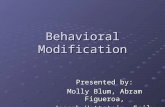 Behavioral Modification Presented by: Molly Blum, Abram Figueroa, Joseph Wettstein, Emily Yen.