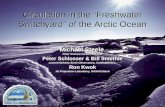 Circulation in the “Freshwater Switchyard” of the Arctic Ocean Michael Steele Polar Science Center, APL/UW Peter Schlosser & Bill Smethie Lamont-Doherty.