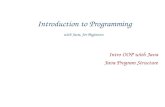 Introduction to Programming with Java, for Beginners Intro OOP with Java Java Program Structure.