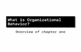 What is Organizational Behavior? Overview of chapter one.