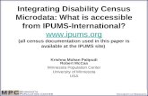 Integrating Disability Census Microdata: What is accessible from IPUMS-International?  (all census documentation used in this paper is available.