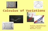 Calculus of Variations Barbara Wendelberger Logan Zoellner Matthew Lucia.