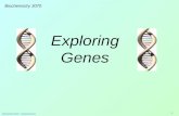 Biochemistry 3070 – Exploring Genes 1 Exploring Genes Biochemistry 3070