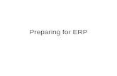Preparing for ERP. Team creation Multi-disciplinary Full time Decision making power Budget Representative – team leads Balance between allegiance to team.